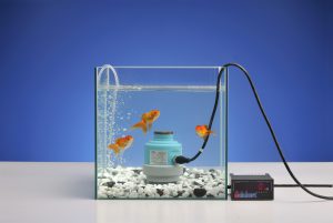 ロードセル金魚